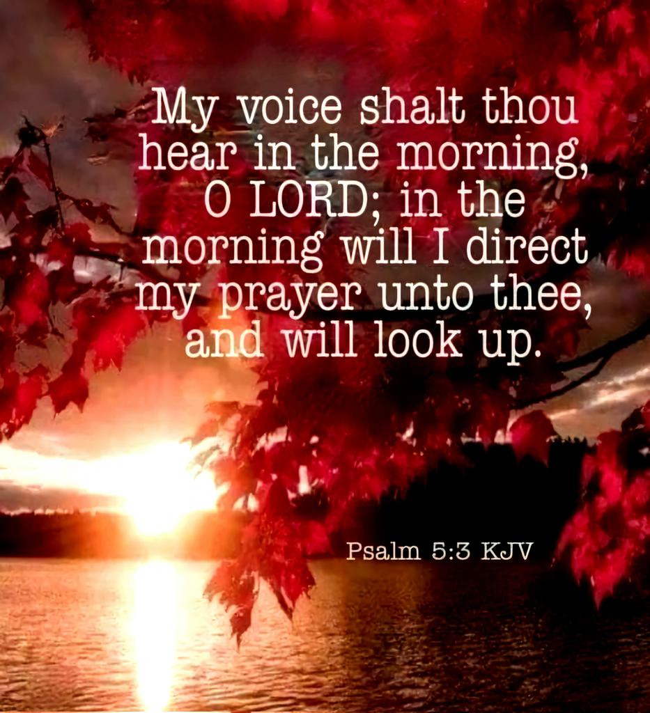 "My voice You shall hear in the
morning, O LORD; In the morning
I will direct it to You,
And I will look up." - Psalm 5:3