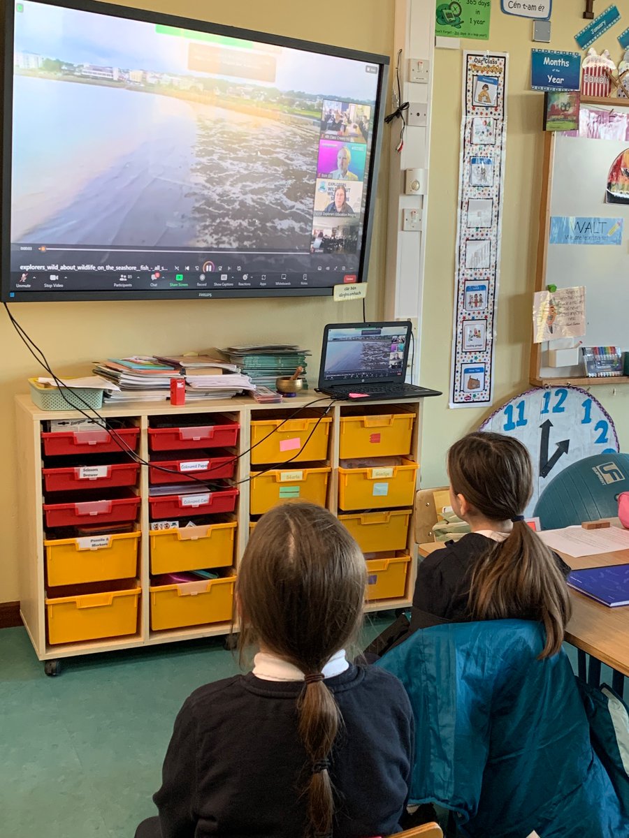 Creevy National School tweet media