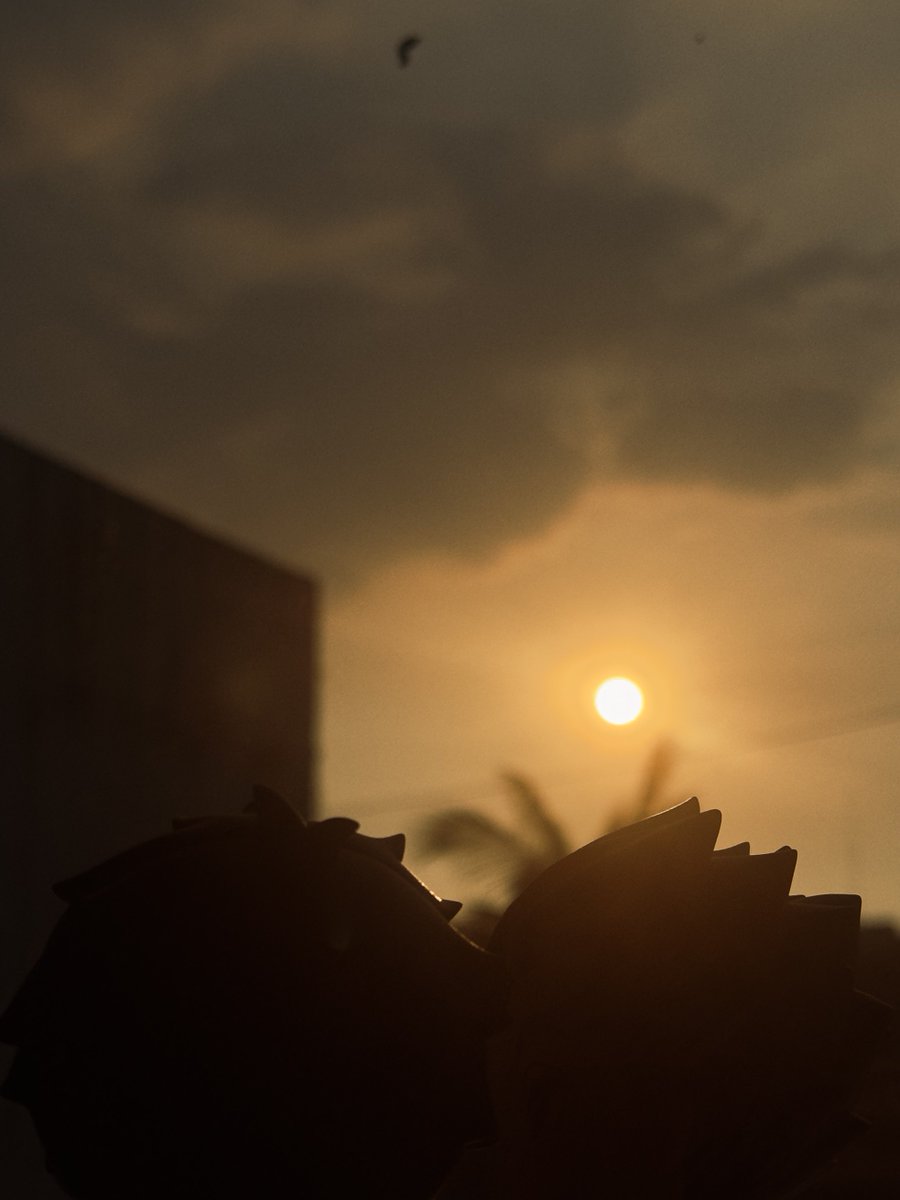 currieeeee's tweet photo. beautiful than sunset https://t.co/EhODZ43nID