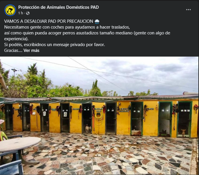 Mery_pq's tweet photo. están desalojando algunas protectoras de Málaga por el aviso de la Dana en Málaga, si alguno quiere o puede ayudar os dejo la publicación. https://t.co/jlV7w7o6ol