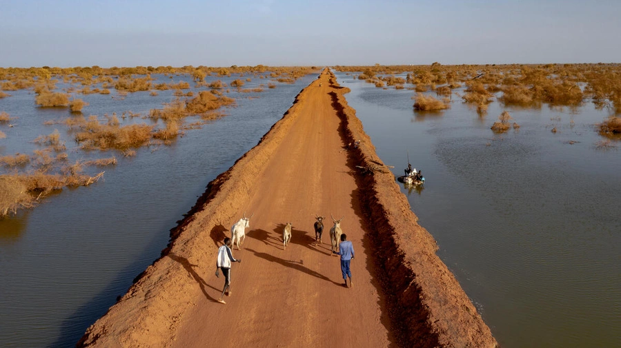 zedbf's tweet photo. No Escape.

This is UNHCR’s first-ever report on the links between conflict, climate and displacement: https://t.co/OlYh8PrTxi

The impacts are jarring, but hope is not lost.

Solutions are possible for those driven from their homes and the communities that host them.

#COP29 https://t.co/g6SbDtzbQw