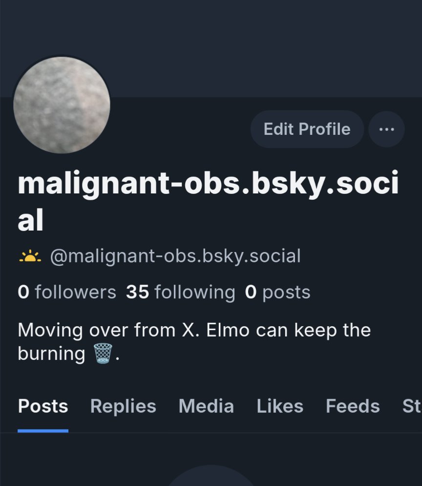 Malignant Observer tweet media