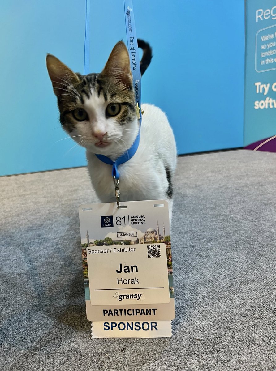 Best Gransy boss😎🐾 Let’s not forget that first of all Internet exists for cat pictures)) #ICANN81