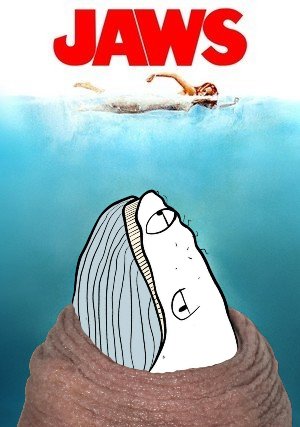 Moby Dick tweet media
