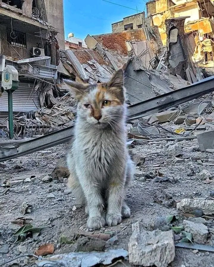 ድምፅ አልባ ስብራት💔 ተስፋ ማጣት፣ ረሃብ፣ ጉስቁልና፣ አጉራሾቿን ማጣት…