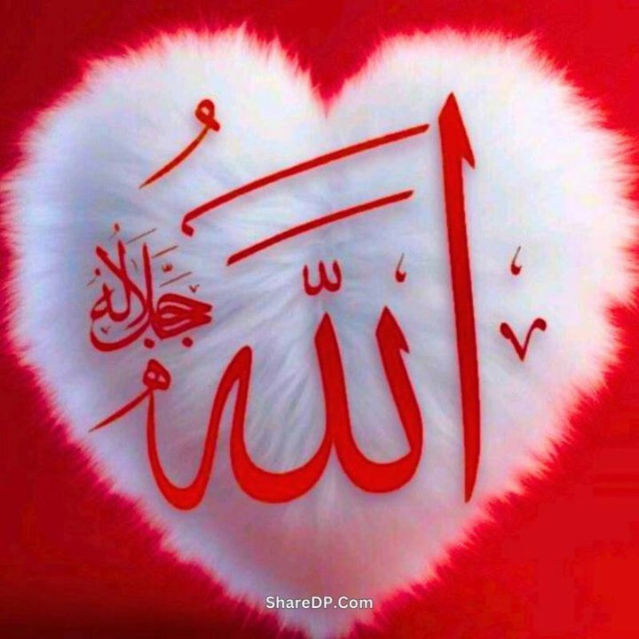 AnsadAlam9's tweet photo. #NewProfilePic https://t.co/Ps7pvmVUyk