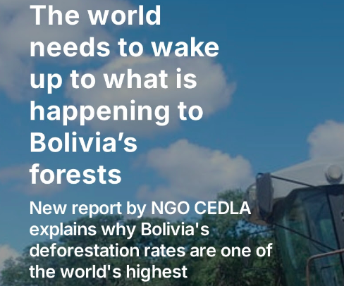 David Hill tweet media