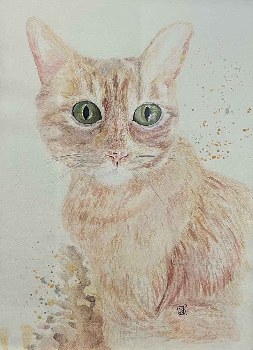 pincel_amarillo's tweet photo. Siempre he sido más de perros, pero en el caso de Murphy haría una excepción. 

▫️Tener la suerte de haberle conocido y dibujado no ha sido casualidad. ✨

#artoftheday #artistherapy #catlover #watercolor #artist https://t.co/tA3y9qNccc