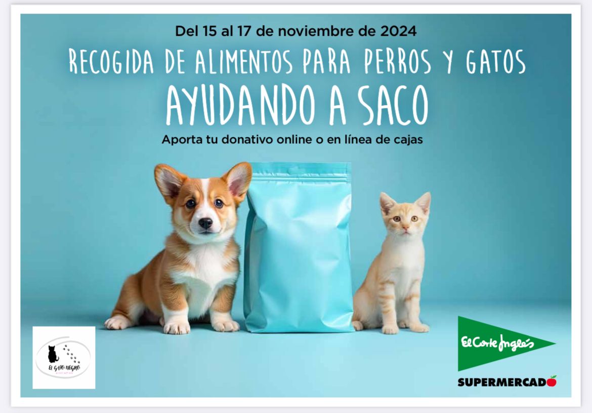 SOS Felina tweet media