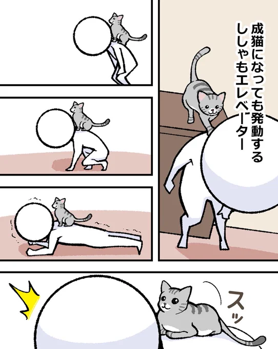 好きなだけ、くつろいで
#猫漫画  #漫画が読めるハッシュタグ 