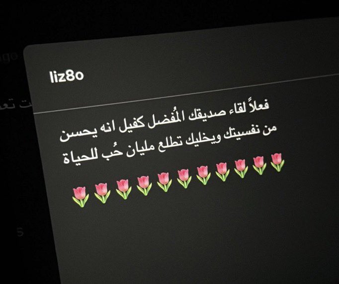 🤍🤍🤍🤍🤍🫧