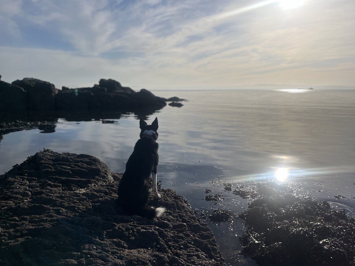 kathydjourno's tweet photo. A moment of calm #thisisDonegal https://t.co/3v9a1Z2Mwg