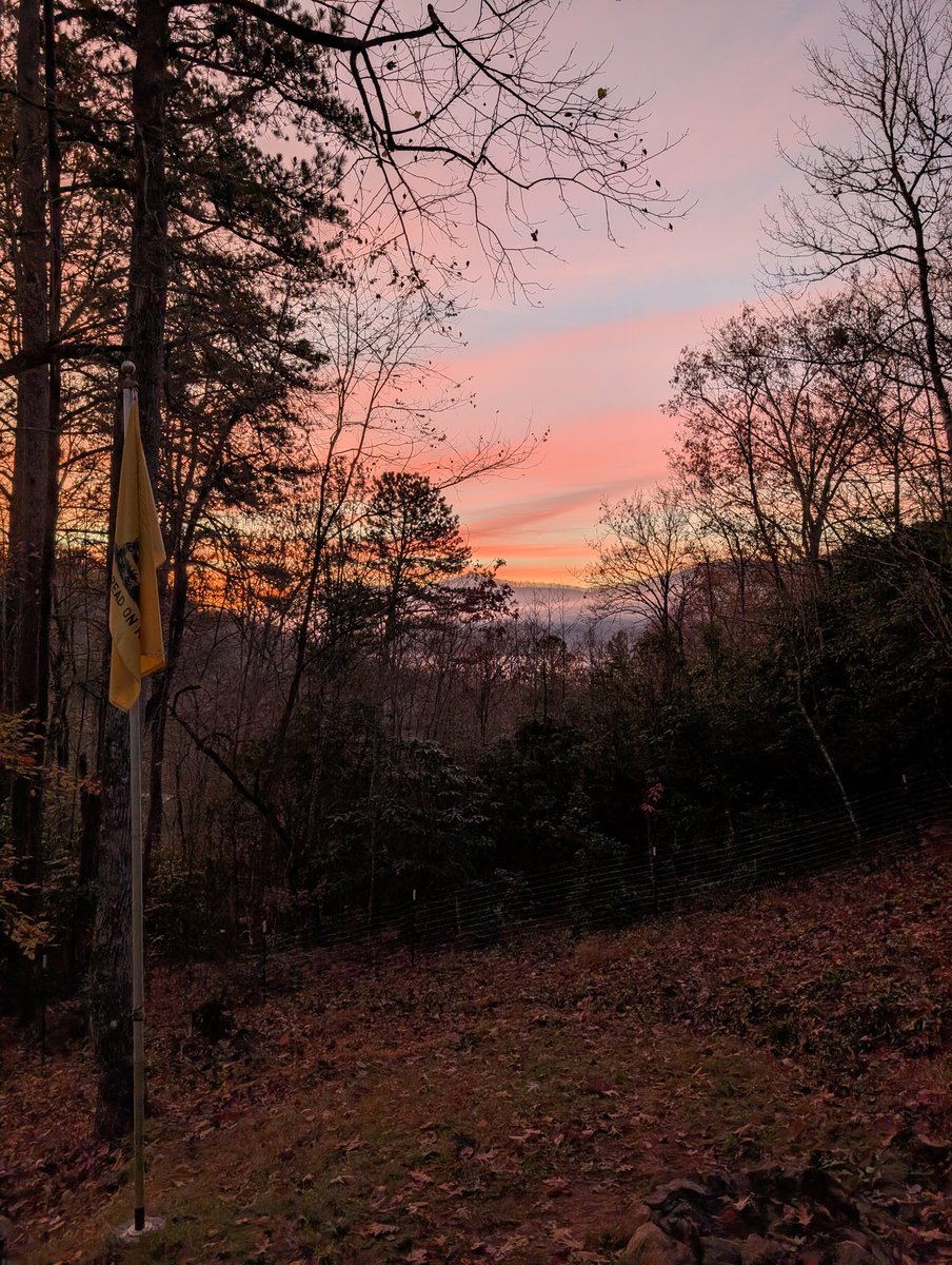 Good morning from the Smoky Mountains. 
One of the best benefits of living here. We got no internet, hardly TV, and spotty phone service. 
But we got this.
✌️