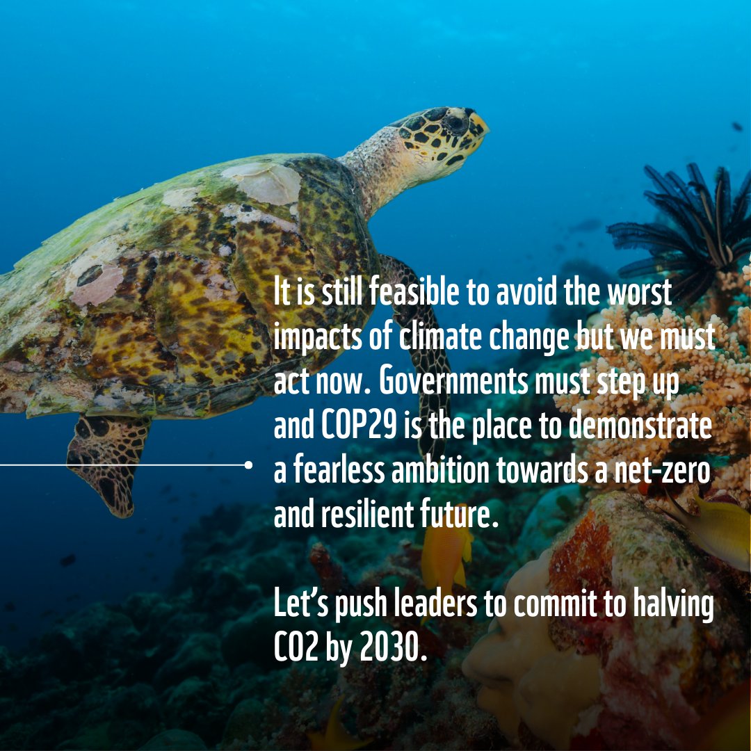 COP29 has just started, but why should it matter to you? 🫵

#COP29 #ActForOurPlanet