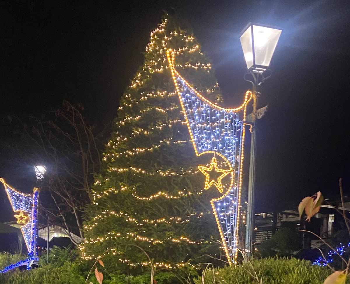 CardwellGC tweet media