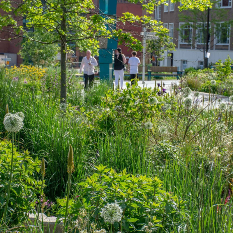Sport_England's tweet photo. The design of green spaces help encourage both physical activity and improve mental wellbeing for a range of users.

Our latest #ActiveDesign case studies show how a creative landscape design process can create or regenerate green spaces, helping people to be more active.