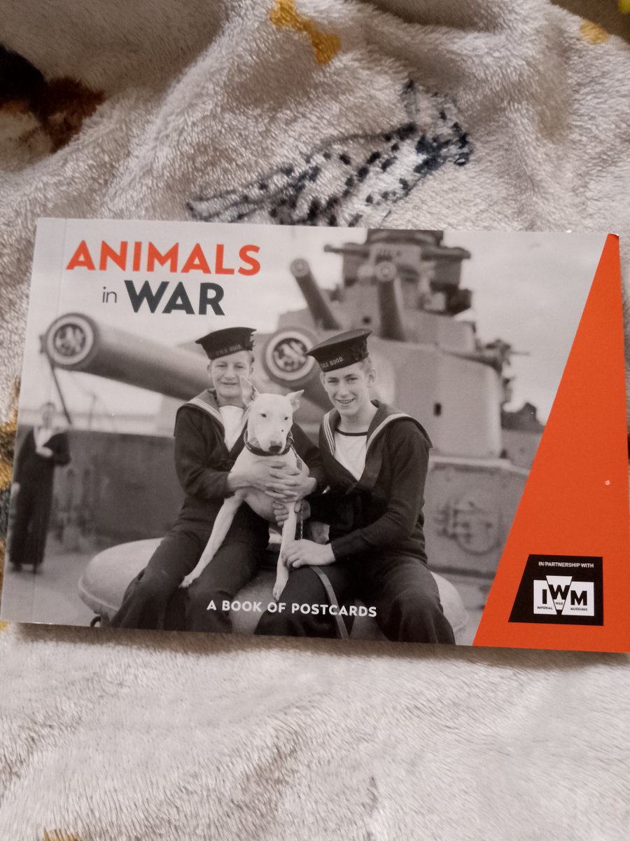 AndreaJackGoro's tweet image. Souvenir from the shop #RemembanceDay 💜❤️🕊️
Bought a tear to my eye, seeing all the #Animalsofwar apart from the usual, cat, dog, horse, pigeon
Even 🐻🐑🐐 magpies, even 🐀