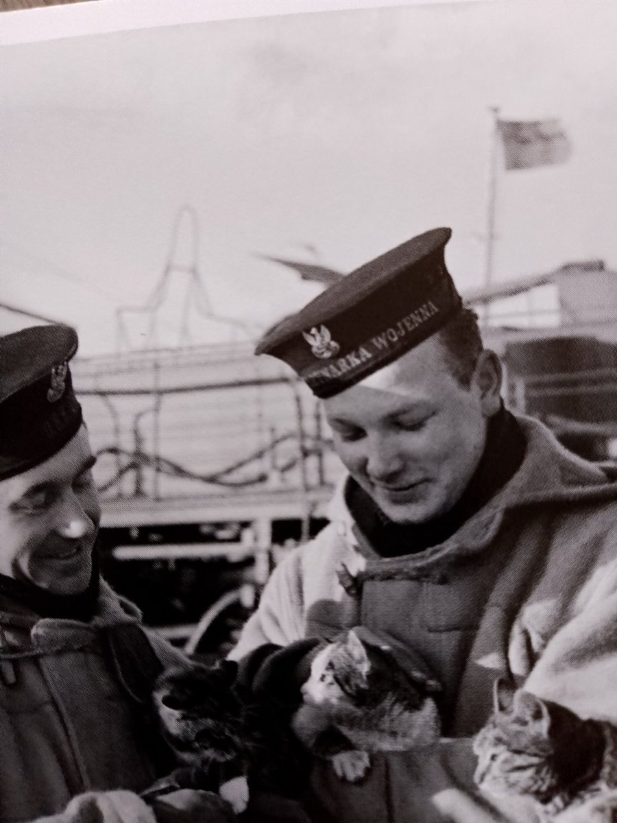 AndreaJackGoro's tweet image. Souvenir from the shop #RemembanceDay 💜❤️🕊️
Bought a tear to my eye, seeing all the #Animalsofwar apart from the usual, cat, dog, horse, pigeon
Even 🐻🐑🐐 magpies, even 🐀