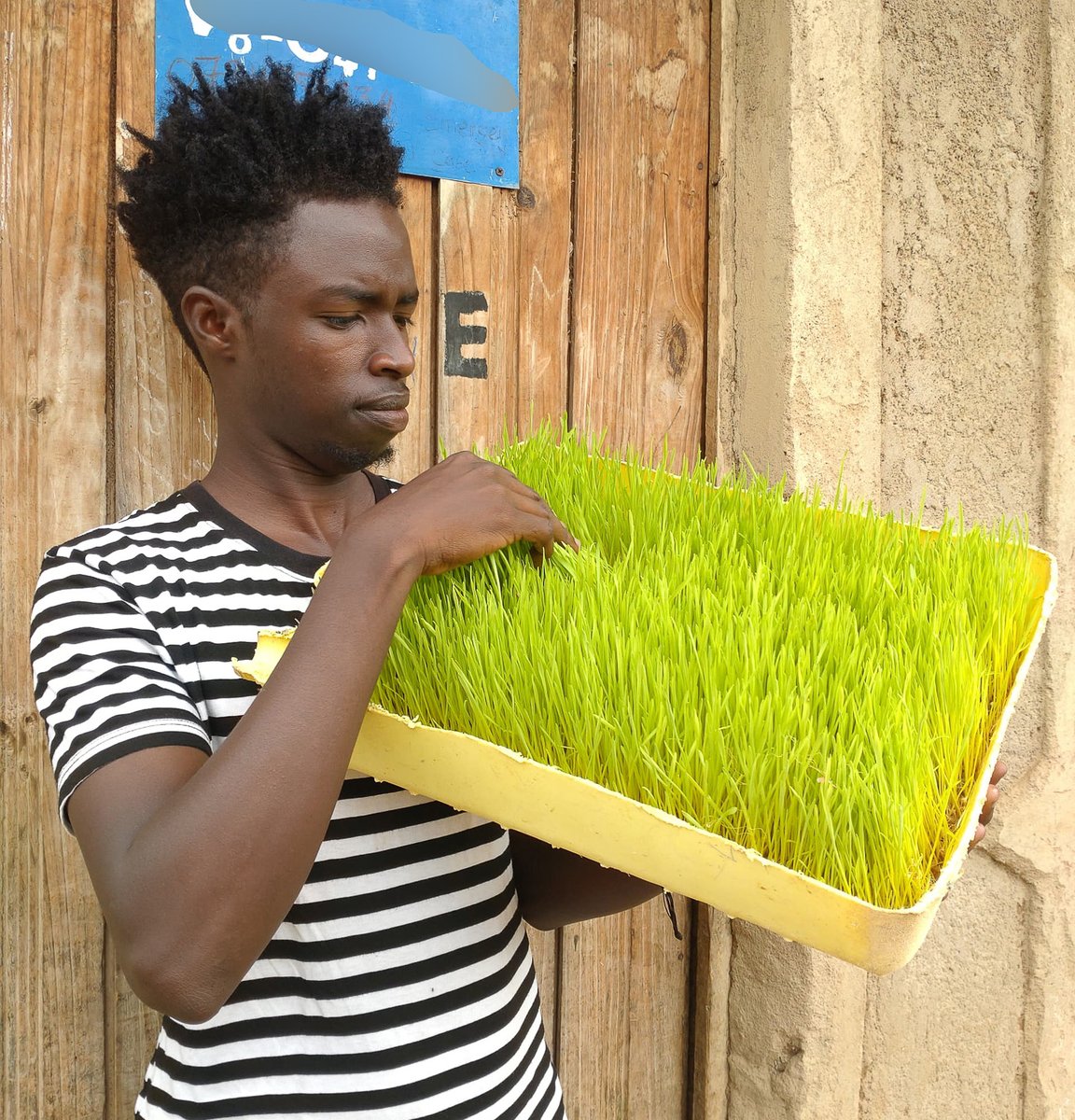 Meet Cleophas, a refugee in Mahama camp who is using innovative farming to boost food security &amp; empower his community.

Attending the Youth Connekt Africa Summit in Kigali gave him the drive and connections to bring his vision to life | unhcr.org/rw/news/storie…

#YouthConnekt2024