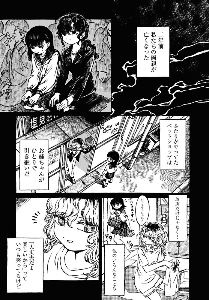 (2/4) 