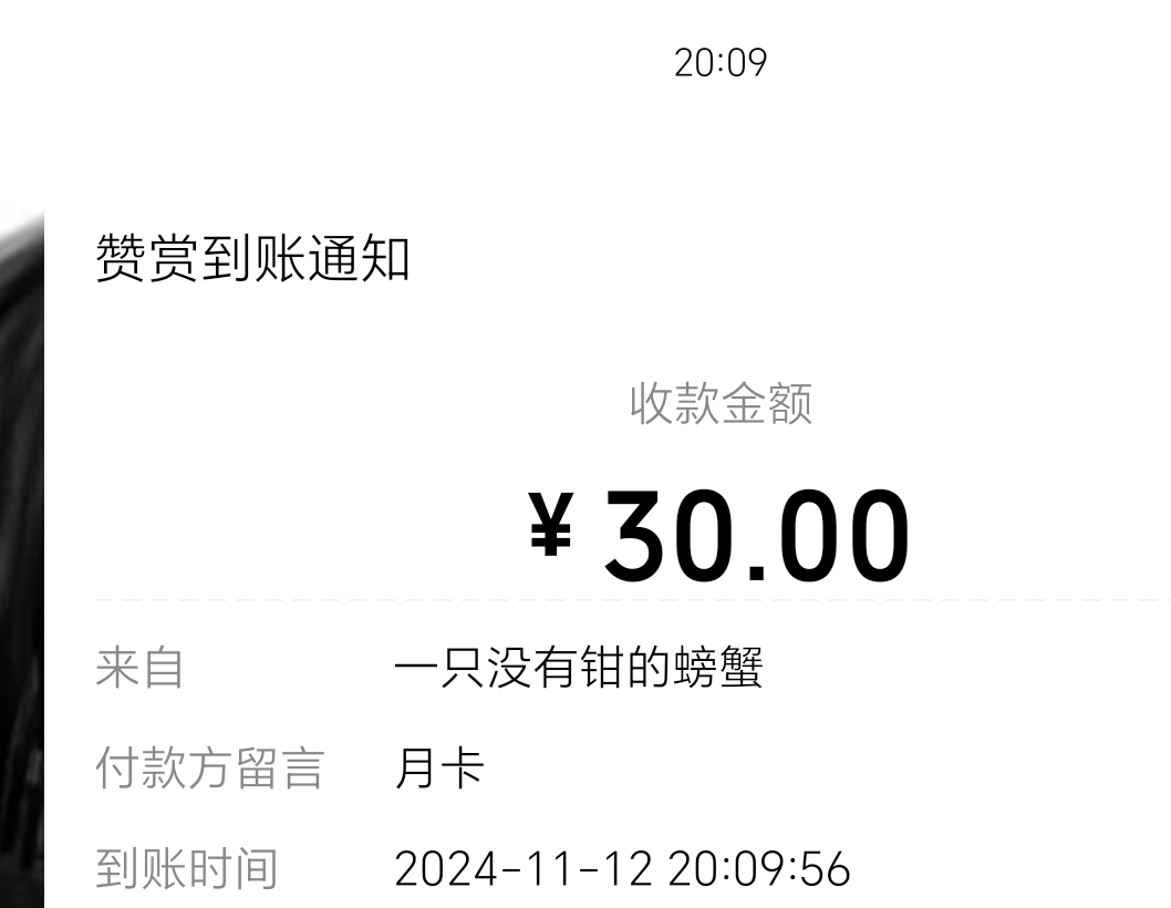 媒体预览
