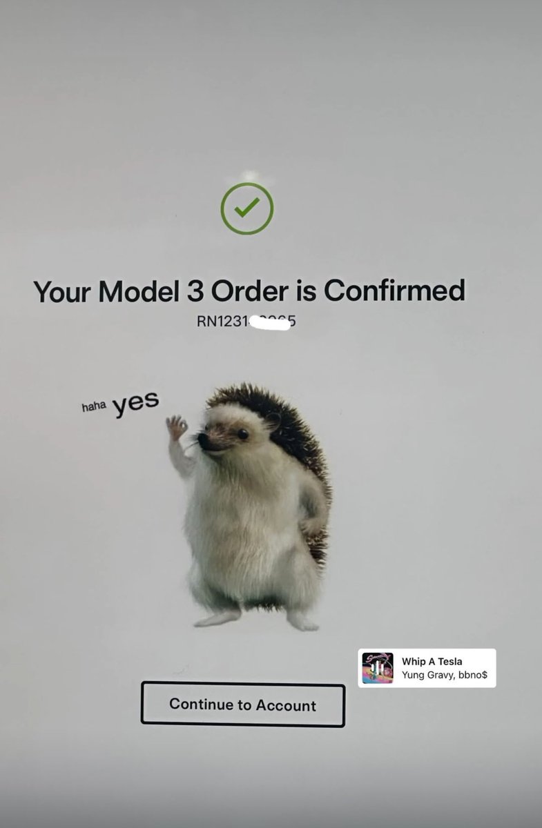 King of the Orderbooks tweet media