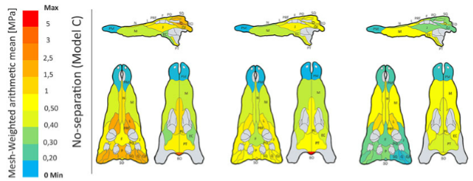 Jordi Marcé-Nogué (@featunning) on Twitter photo We published something that can be useful: A new biomechanical approach to model cranial sutures using contact elements in linear and nonlinear Finite Element Models #FEA #biomechanics in a Niloticus crocodile skull with <a href="/FortunyPaleoBio/">Josep Fortuny</a> @laiagarto
📒 doi.org/10.1017/pab.20… We published something that can be useful: A new biomechanical approach to model cranial sutures using contact elements in linear and nonlinear Finite Element Models #FEA #biomechanics in a Niloticus crocodile skull with <a href="/FortunyPaleoBio/">Josep Fortuny</a> @laiagarto
📒 doi.org/10.1017/pab.20…