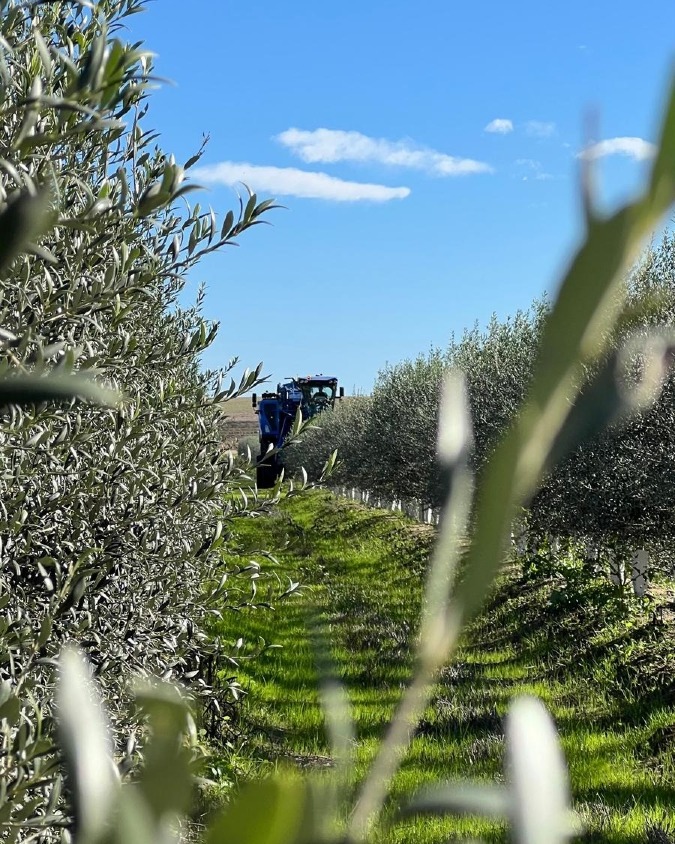 ¡Luces, cámara, acción! 
🎬  Hoy en Creaerte nos lanzamos a la aventura de una jornada intensa de grabación para un video corporativo. La emoción está en el aire mientras ajustamos cámaras, afinamos guiones y nos preparamos para capturar la esencia de lo que hacemos.