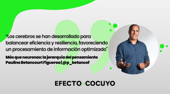 #Opinión 🗣️ |  <a href="/p_betancof/">Paulino Betancourt Figueroa</a>: "Las neuronas ajustan su coordinación constantemente, manteniendo al cerebro lo suficientemente estable para el pensamiento profundo y, a la vez, flexible para enfrentar nuevos retos". ➡️ bit.ly/4hGGgxu
