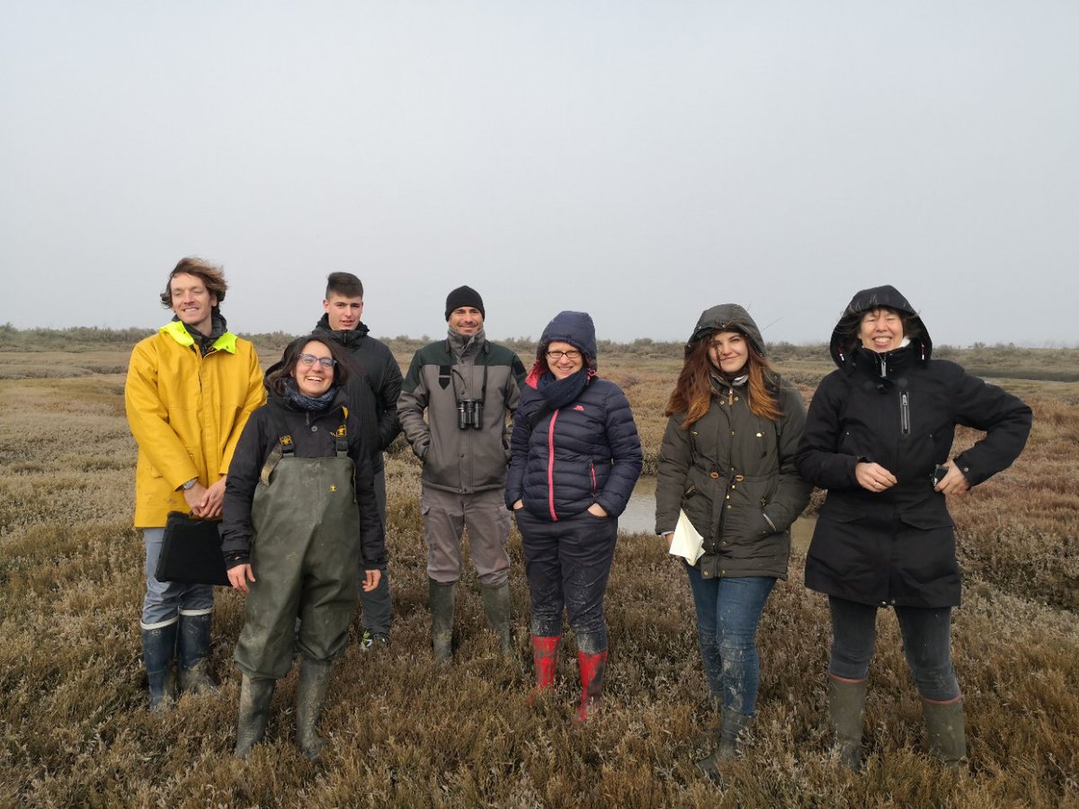 Paris Soil organic matter research Group (@parissoil) on Twitter photo First blue carbon paper from our team, led by PSG member <a href="/M_ecohydro/">Dr. Marie Arnaud... moove to @marnaud.bsky.social</a> on decomposition of #root litter types in salt march #soils under contrasting innudation. Excellent collaboration with <a href="/Ifremer_fr/">Ifremer 🌊</a> <a href="/BakhosMelissa/">Melissa Bakhos</a> @MFDignac <a href="/CorneliaRumpel/">Cornelia Rumpel</a> sharelink: rdcu.be/dZWtC First blue carbon paper from our team, led by PSG member <a href="/M_ecohydro/">Dr. Marie Arnaud... moove to @marnaud.bsky.social</a> on decomposition of #root litter types in salt march #soils under contrasting innudation. Excellent collaboration with <a href="/Ifremer_fr/">Ifremer 🌊</a> <a href="/BakhosMelissa/">Melissa Bakhos</a> @MFDignac <a href="/CorneliaRumpel/">Cornelia Rumpel</a> sharelink: rdcu.be/dZWtC
