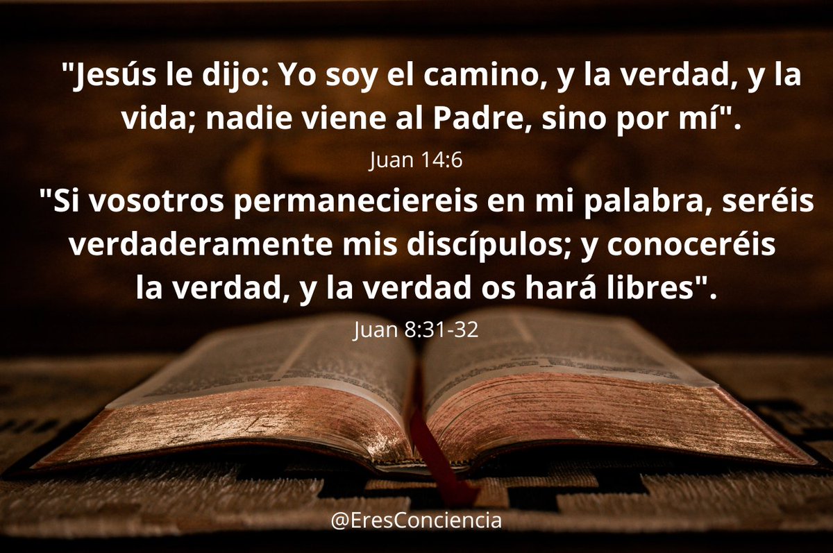 El Cristo como Jesús no solo te dice cuál es el camino, te lo demostró con hechos, con gestos de profundo Amor y te revela el secreto: tu "Yo Soy".
Cuando dice que nadie va al Padre, sino es a través de él, se está refiriendo a nuestra Esencia Crística.
El Gran Maestro dice una