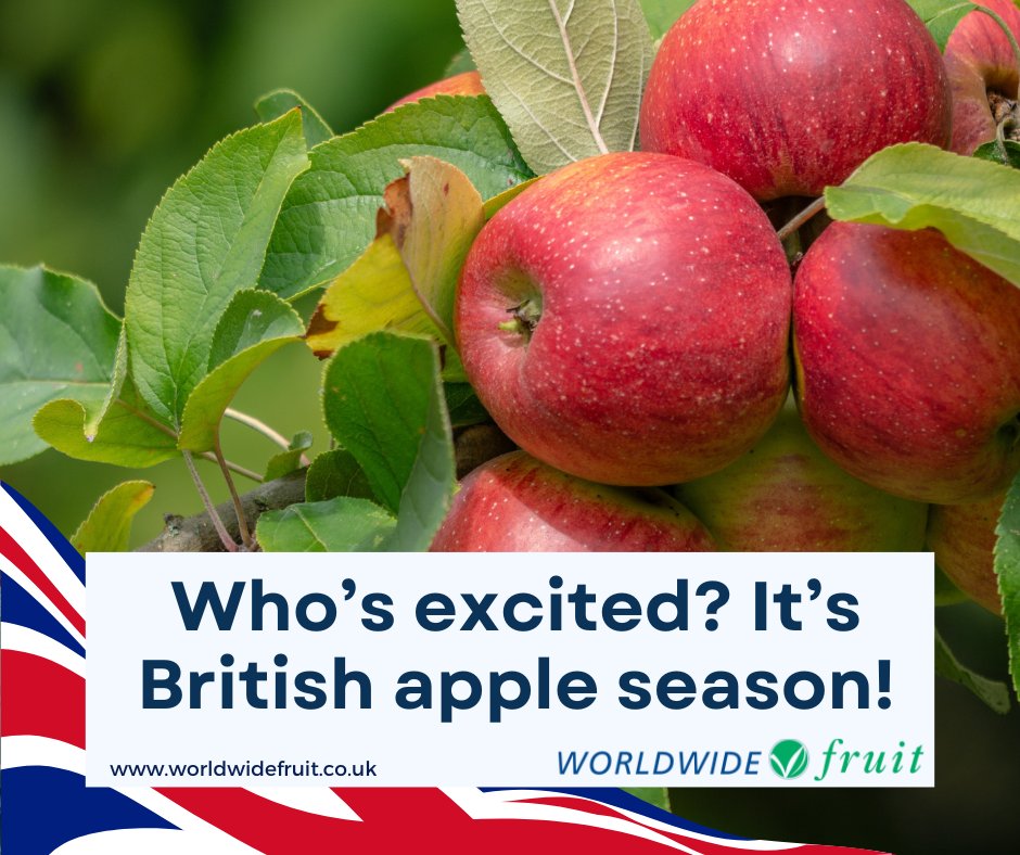 Who is excited? 🍎