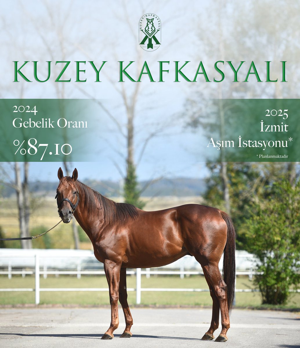 Yolumuz uzun, heyecanımız yüksek. Gençliğimiz var...