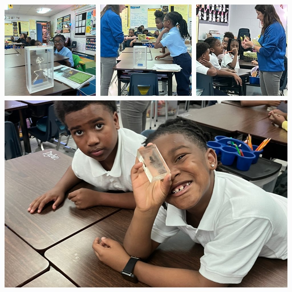 Hands on science standards with the Parklands SEED program for grades 2-4.