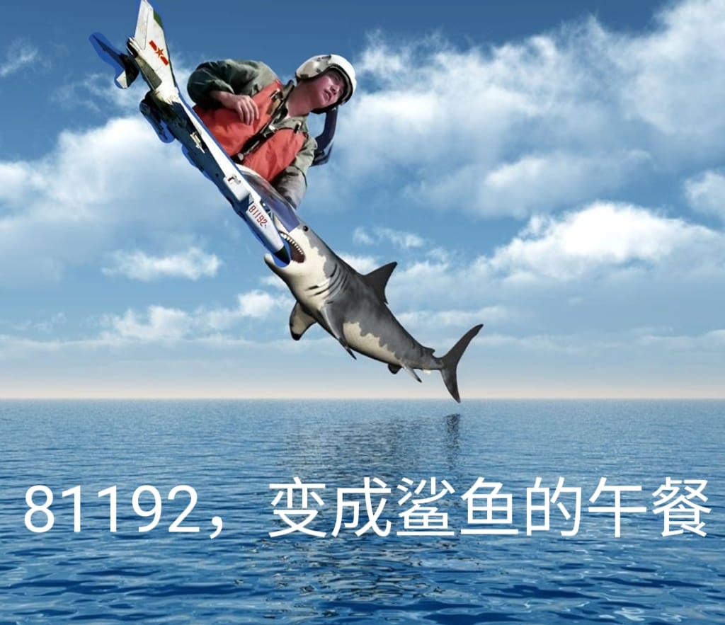 plaguechina's tweet photo. @wanyt119643 @xingwin3 @Amelia181672271 邱少云被烤焦了，刘胡兰摸不着头脑，董存瑞被炸成鸡块，你妈被野狗操的喷玩淫水后就死了 https://t.co/54gesRdvSM