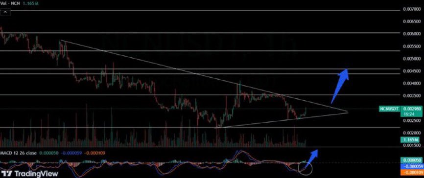 Michael Sixgods (⭕) (@michaelsixgods) on Twitter photo Just aped $2K into $NCN on MEXC! 🐂
Been eyeing <a href="/NeurochainAI/">Neurochain.AI</a> for a while, and $NCN's blend of AI and DePIN is 🔥.
Picked up $NCN at a steal, $0.0027. With a new DEX listing and potential partnerships, I'm aiming for a 10-15x short-term. 🚀
$NCN is super undervalued at a $330K Just aped $2K into $NCN on MEXC! 🐂
Been eyeing <a href="/NeurochainAI/">Neurochain.AI</a> for a while, and $NCN's blend of AI and DePIN is 🔥.
Picked up $NCN at a steal, $0.0027. With a new DEX listing and potential partnerships, I'm aiming for a 10-15x short-term. 🚀
$NCN is super undervalued at a $330K