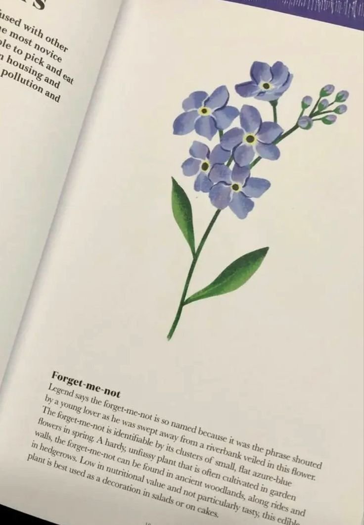 Forget-me-nots