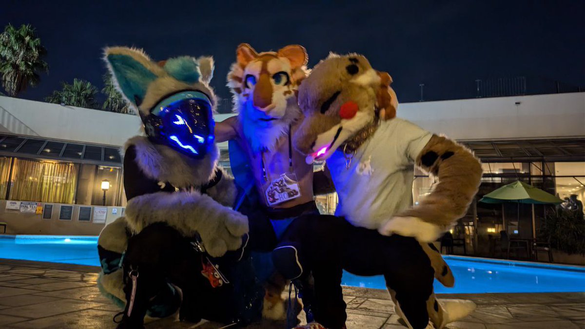 Incredible time at Pawcon, my first con too. Lovely furry people 🩷 till next year #pawcon #pawcon2024