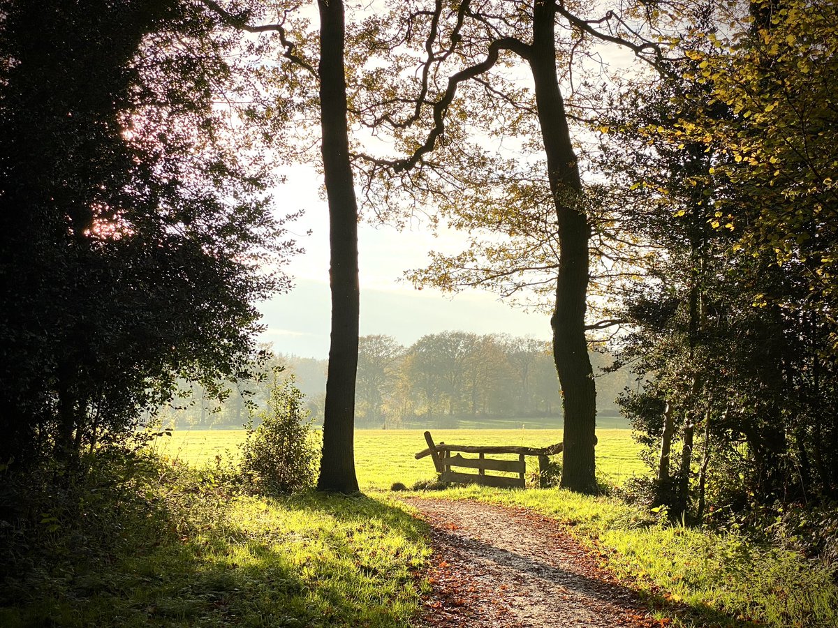 TruusWijnen's tweet photo. Wandelommetje aan het eind van de middag.
#Vanhuusuut🥾
#DeLutte
#Fleerderhoekpad 1&2
#Bavelsweg 3&4
#RustRoest https://t.co/oK4kCldVbu