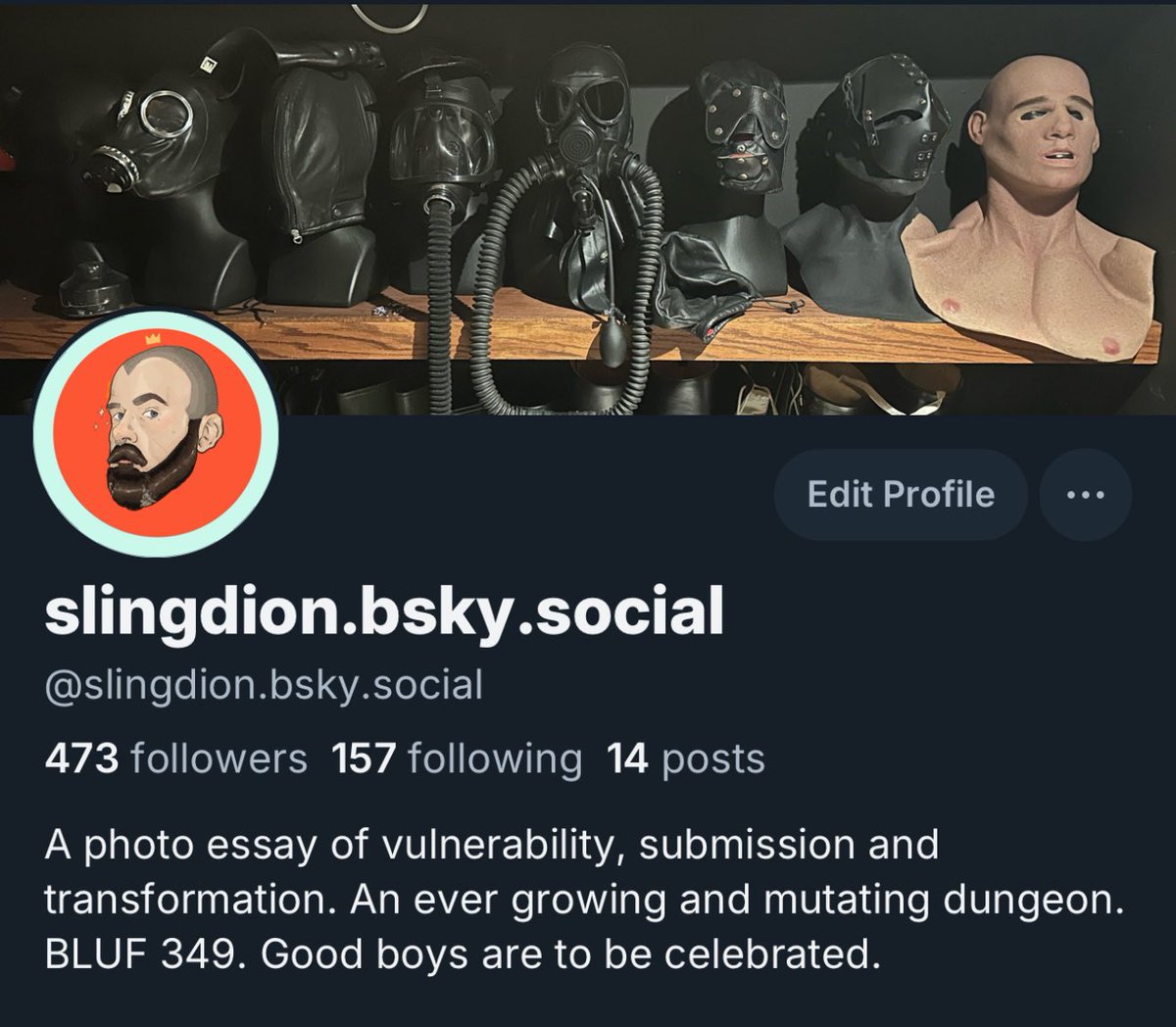 Sling Dion tweet media