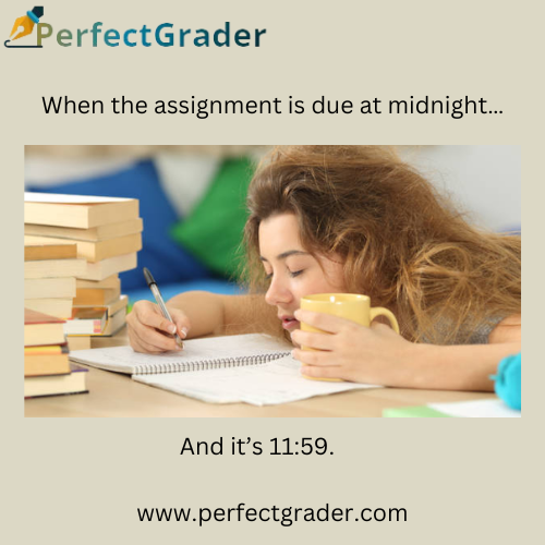 Perfectgrader1's tweet photo. Running on caffeine and panic? Let us handle the writing while you recharge! Check out our services at https://t.co/fmsHsCsVrg
#assignmenthelp
#assignmentservices
#experttutors https://t.co/pdjYUrdNIC