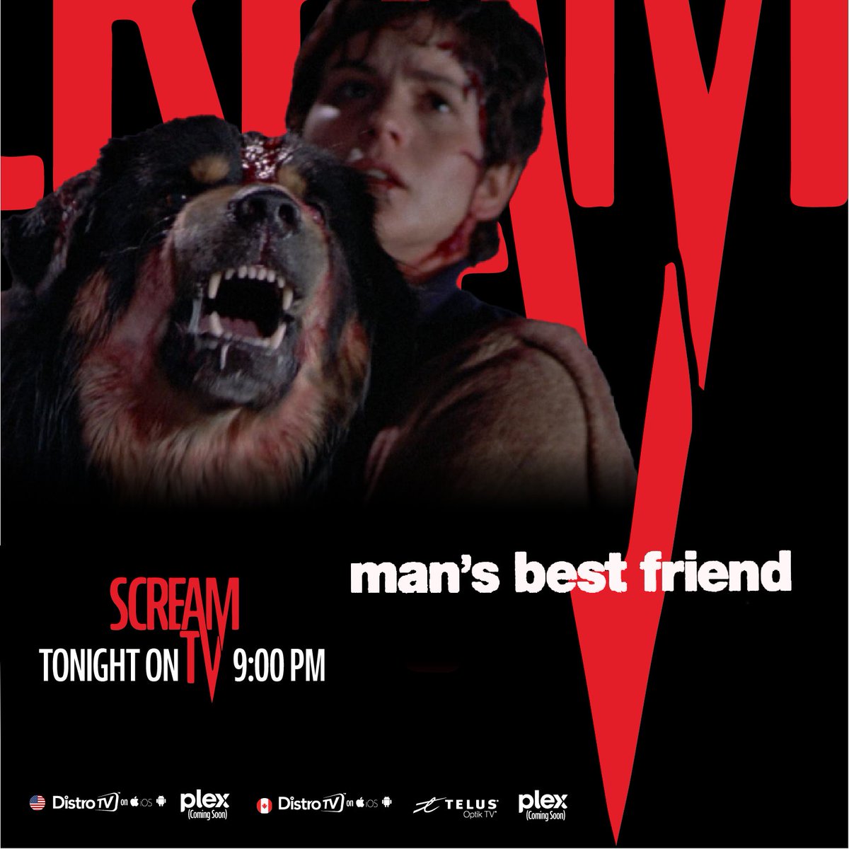 wearescreamtv's tweet photo. 🐕🔬 This pet has a dark side…
Tonight at 9 PM EDT, catch the sci-fi horror thriller Man’s Best Friend! 😱⚠️ Prepare for a dark ride! Tonight on Scream TV! 📺🩸
#MansBestFriend #SciFiHorror #ScreamTV #DeadlyPet #GeneticExperiment https://t.co/wW9BzIVn8O