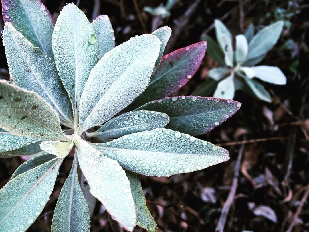 sdrvc's tweet image. Beautiful shot at Lake Hodges by Instagram user @alexskunz. Tag your Instagram photos #SDRVC to share them with us!