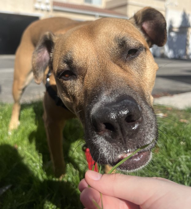 Watch Aliya Brynn's leaked NSFW photo on TwXstars