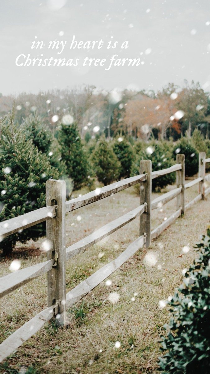 EllezaBellz's tweet photo. @kyylien Christmas tree farm! I was given a sparkly purple swiftie Christmas ornament 2 weeks ago and have been full Christmas mode since then... and changed my phone lock screen to something swiftmas https://t.co/PfYhYiPFu6