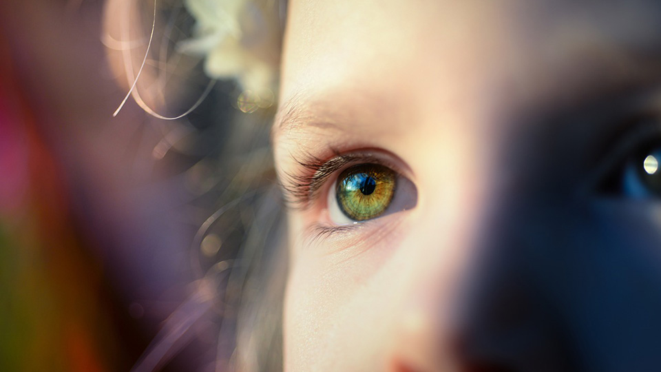 OptometryToday's tweet image. The Centre for Eye Research Australia has been awarded $300,000 AUD from The Felton Bequest to advance research on female carriers of X-linked inherited retinal diseases. Read more: ow.ly/hMlg50U3FZr. @EyeResearchAustralia  #GeneticResearch #EyeResearch
