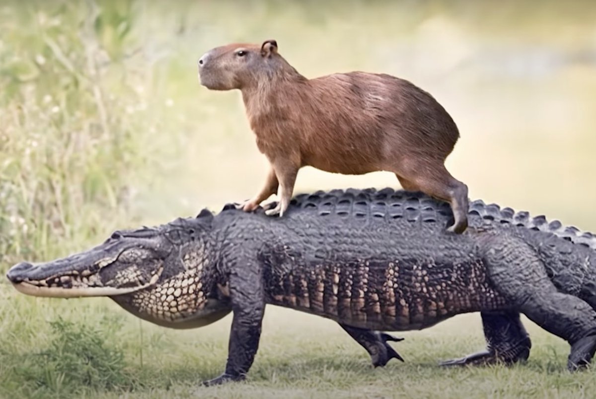 If you're looking for a sign