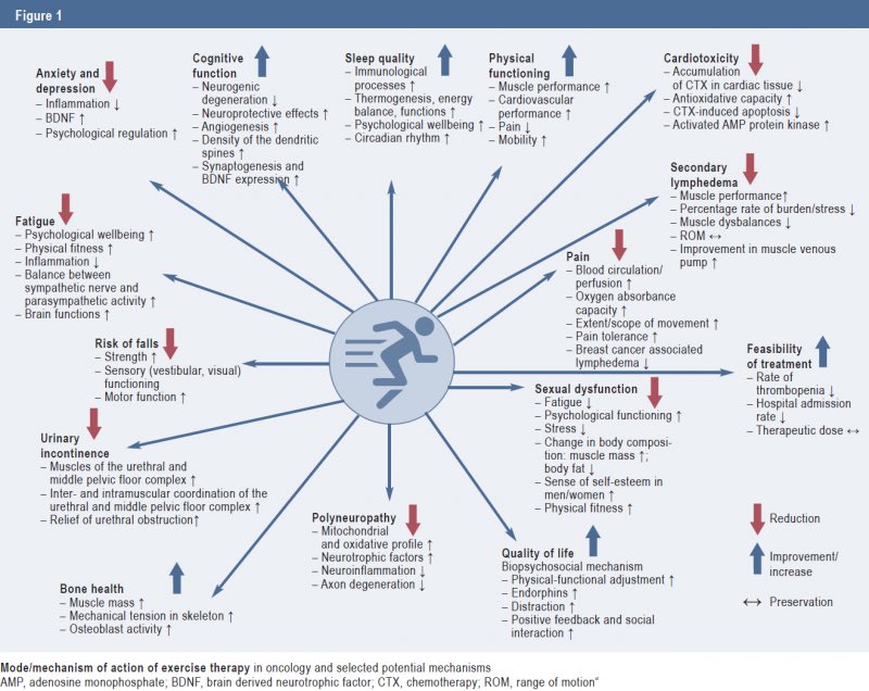 Prof Omid Khaiyat M.D., PhD tweet media