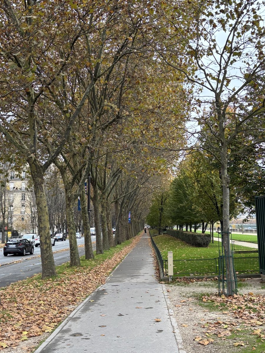 schroeder_ann's tweet photo. Day two #LotsToSee #Paris https://t.co/WHleQnDUnv