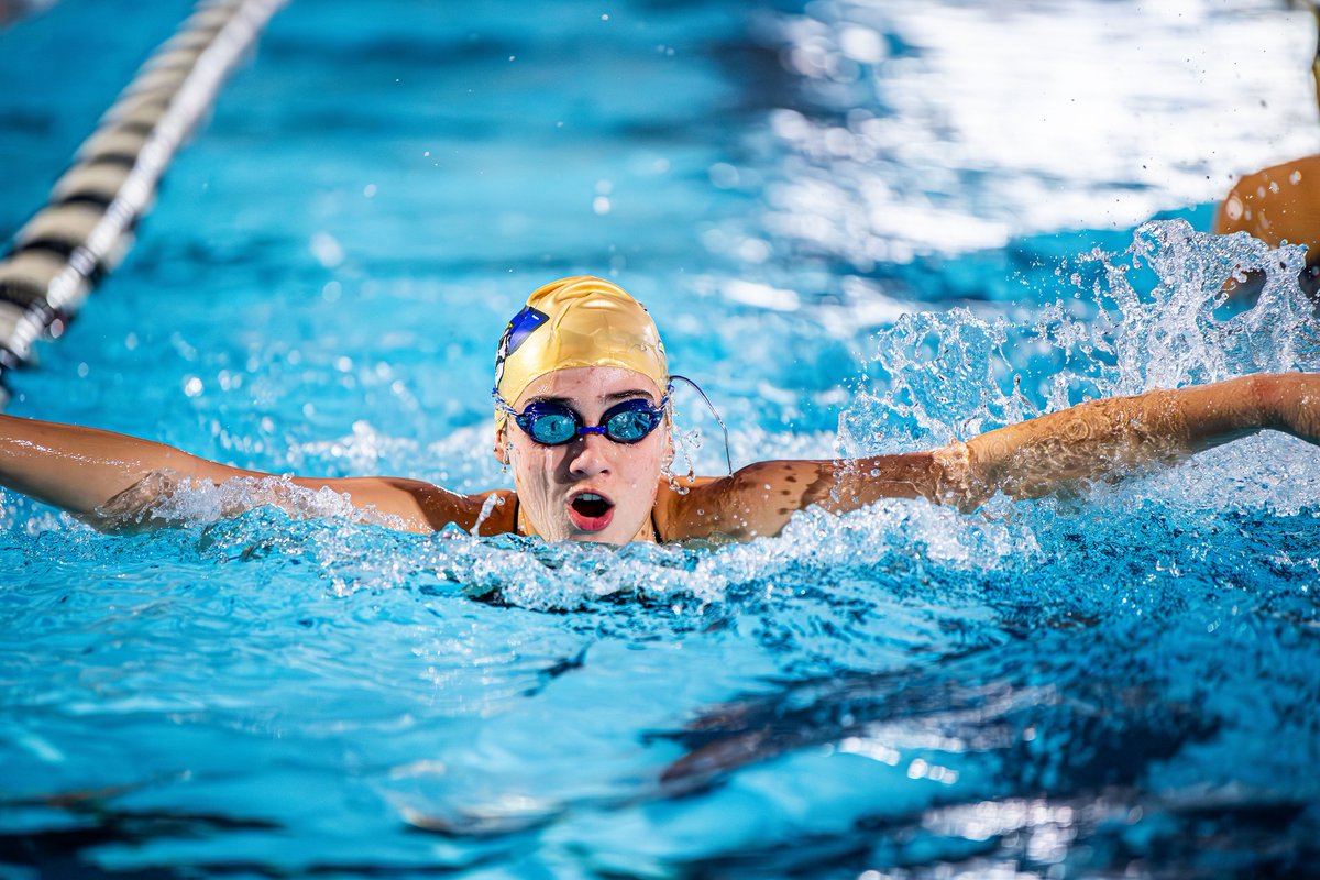 It was a big weekend for St. Thomas Aquinas High School Athletics. We want to send a huge congratulations to our talented athletes who made waves at the State Championship for Swimming and Diving! We couldn’t be prouder of your accomplishments! 
#STAPride #StateChampionship